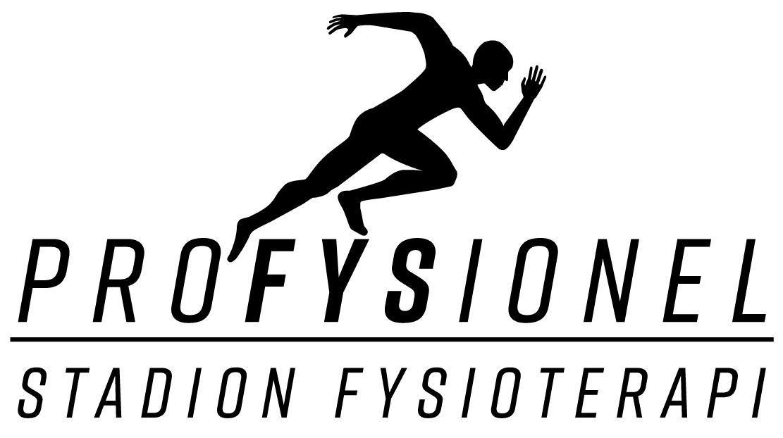 Profysionel logo
